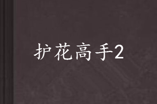 护花高手2