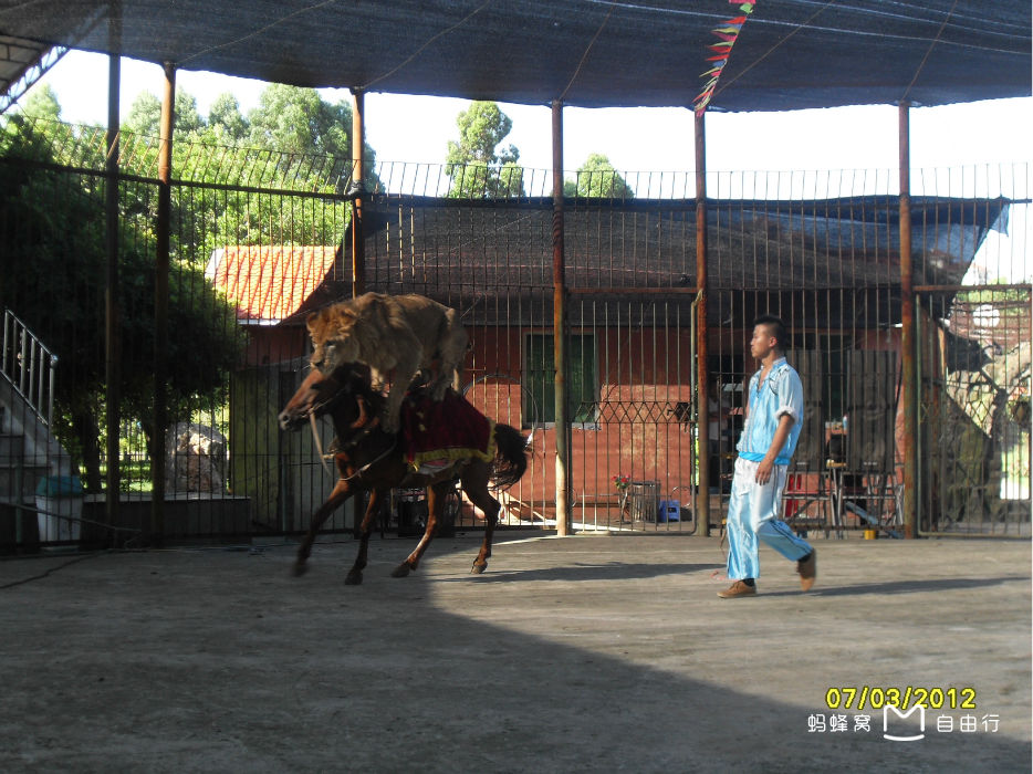 厦门海沧动物园