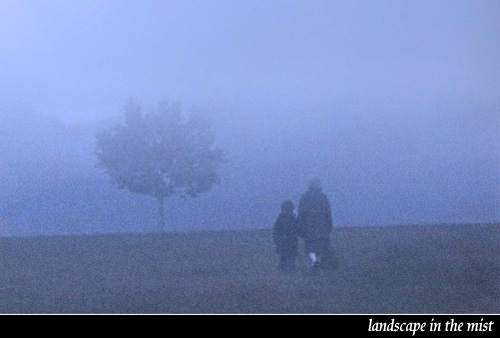 雾中风景
