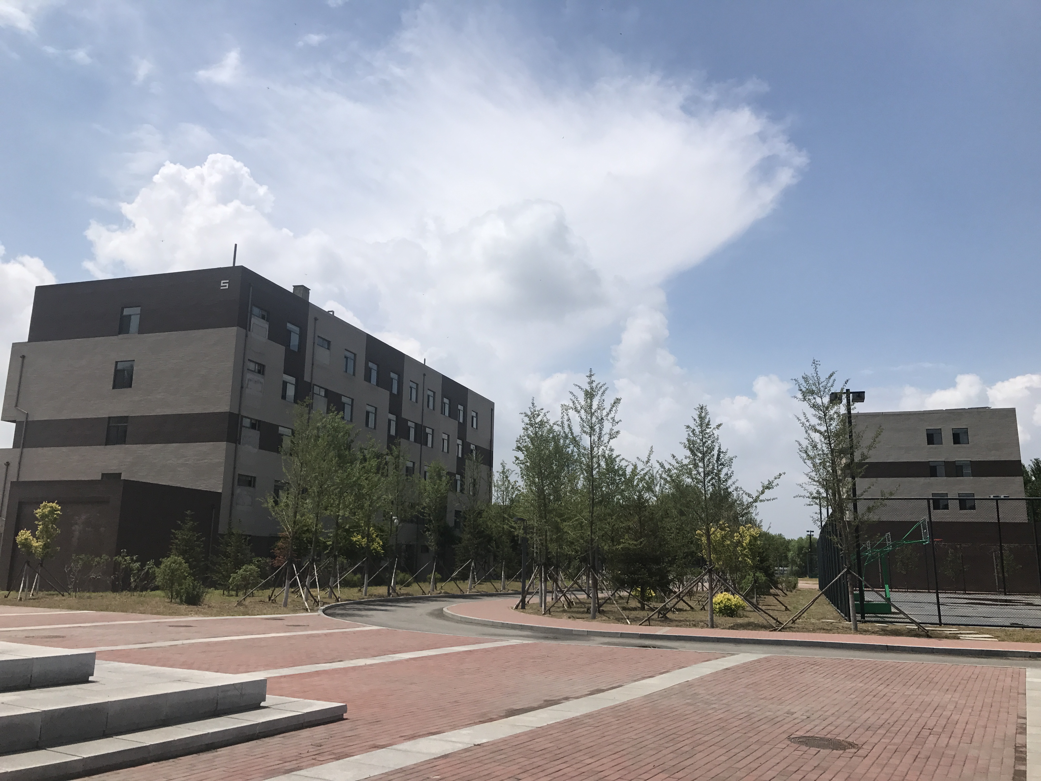 东北育才悲鸿美术学校