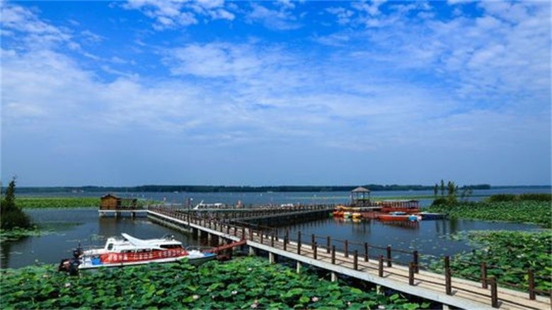 宝应湖农场