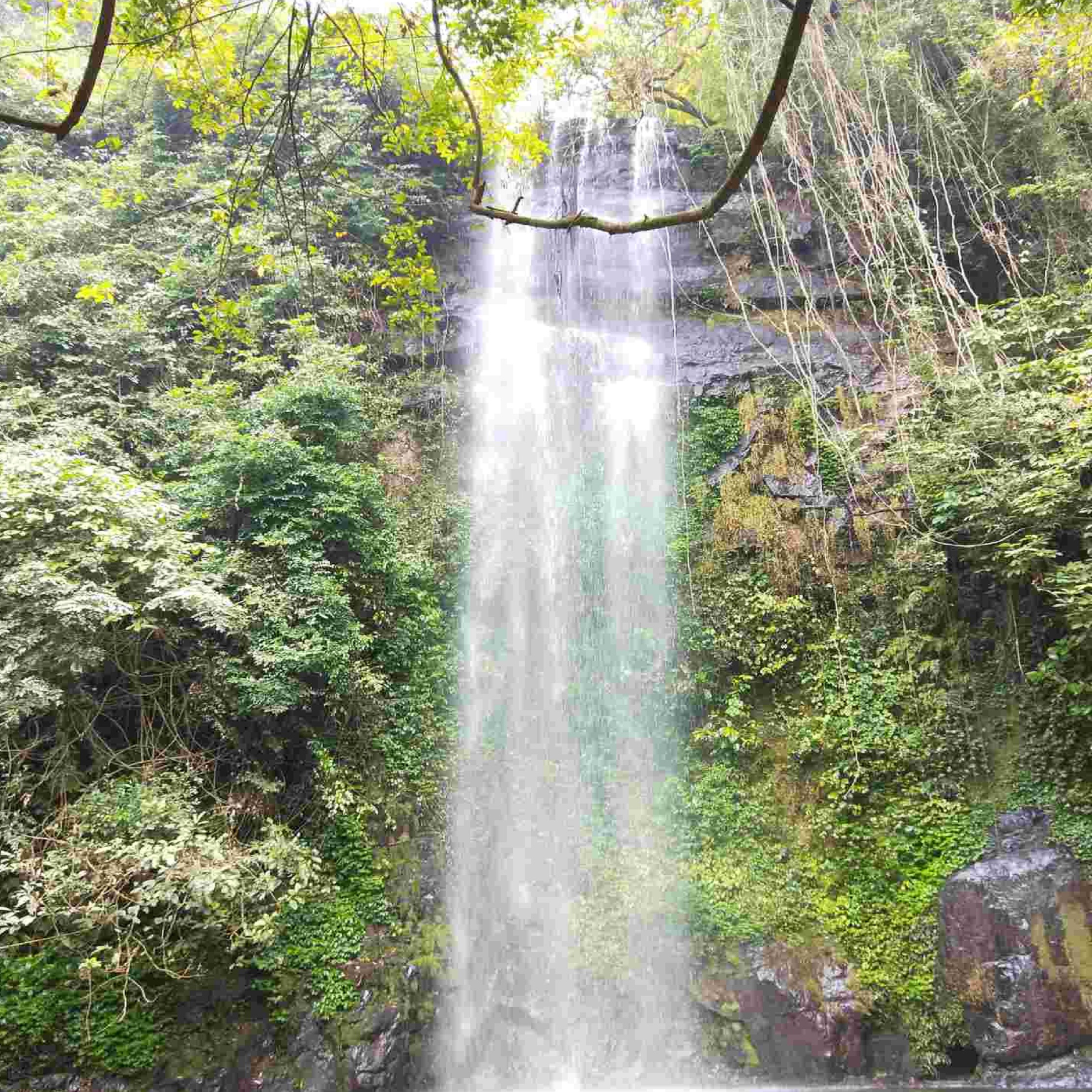  p>九龙瀑布群森林公园位于 a target="_blank" href="/item/横县