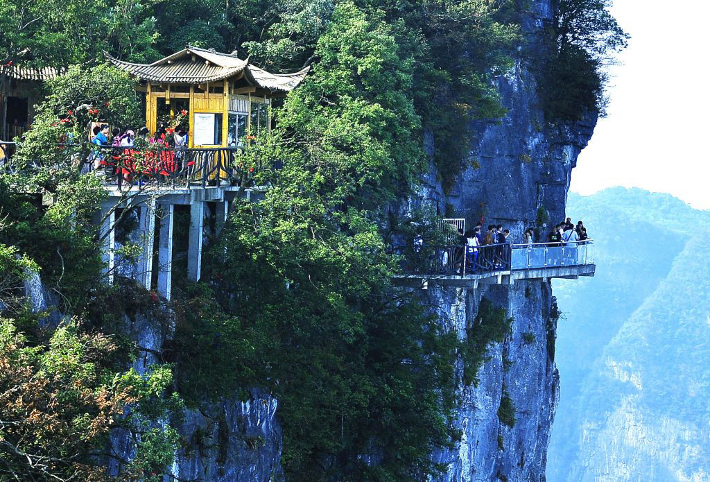 ʯ԰Ʊ۸_ʯ԰Ʊ_ʯ԰Ʊ