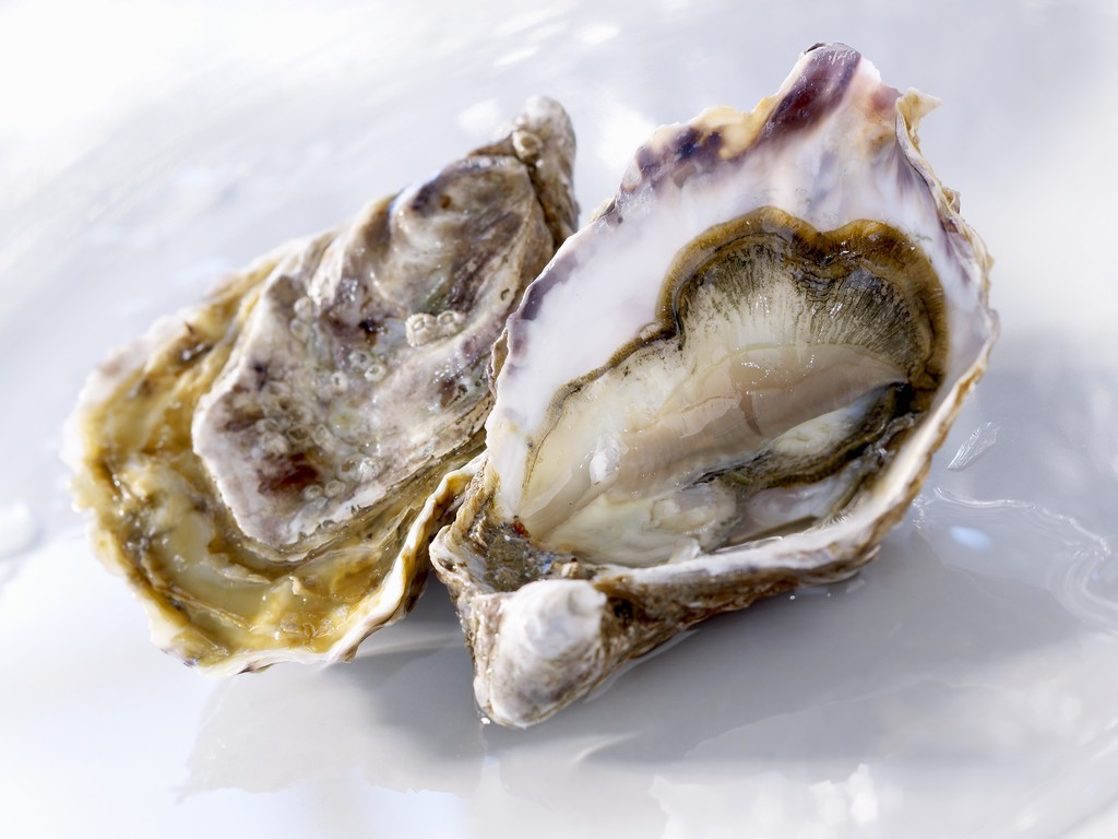 牡蛎
