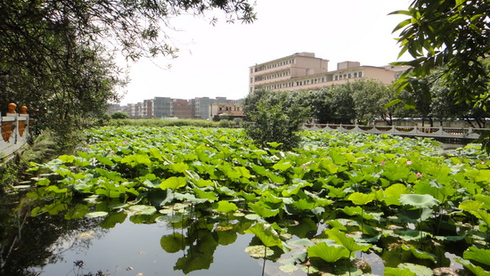 贵港市江南中学