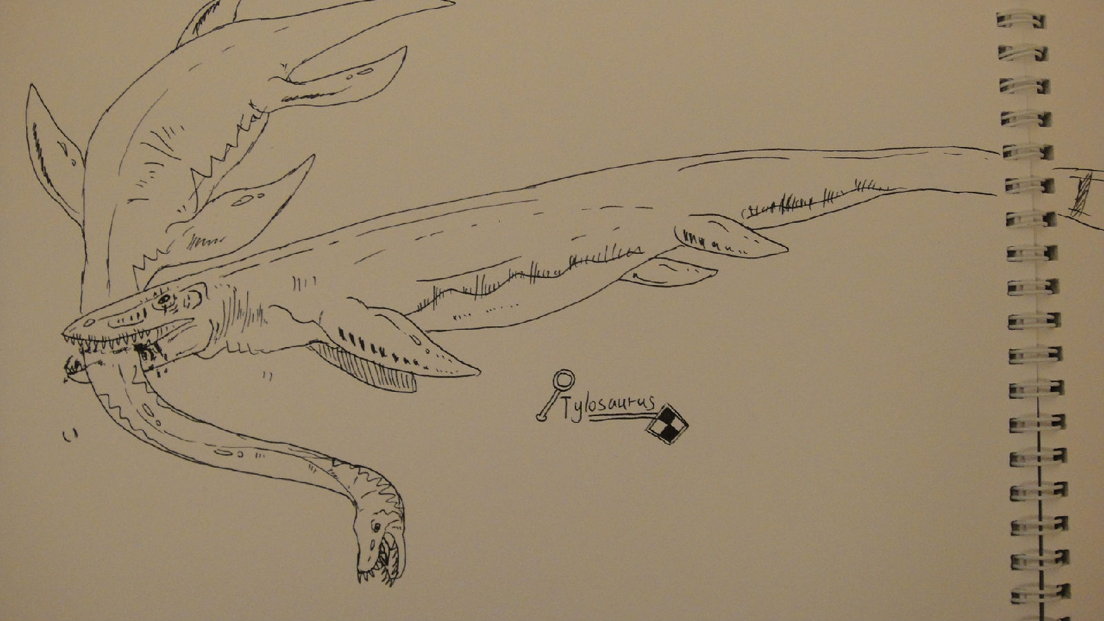  p>薄片龙是晚期 a href="#" data-lemmaid="7554264">蛇颈龙类 /a>的