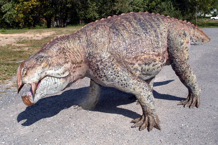  p>肯氏兽是一种生存于三叠纪的古爬行动物.