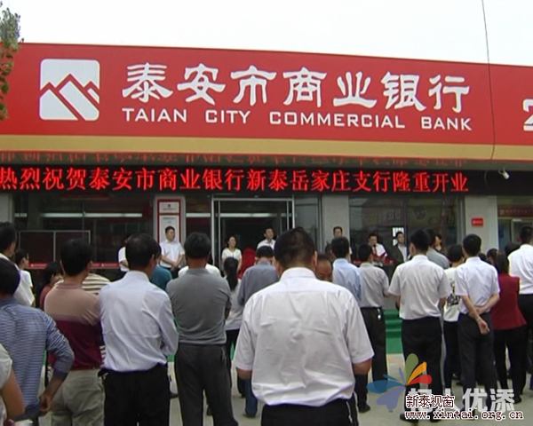泰安市银行流水 全网资源