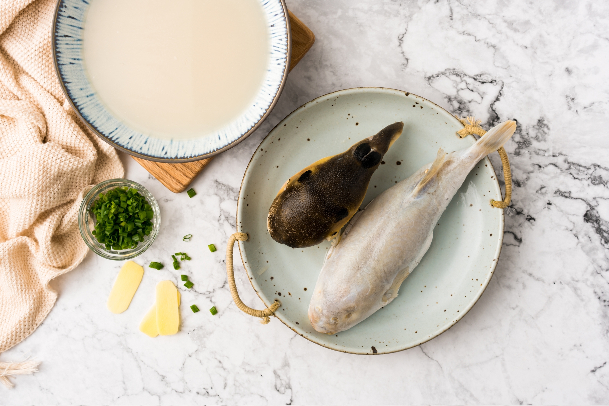 大连红鳍东方鲀