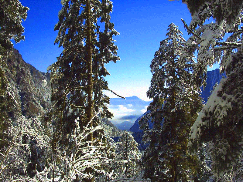 景区内,是 a target="_blank" href="/item/海螺沟五绝/4342736" data