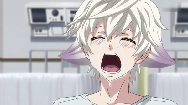  p>无,漫画《狂欢节》及其衍生作品中的角色.