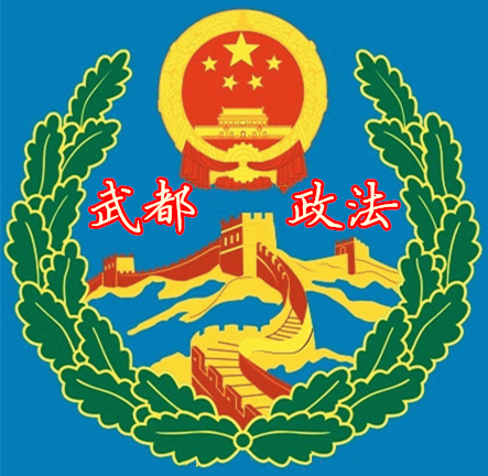 中共陇南市武都区委政法委员会