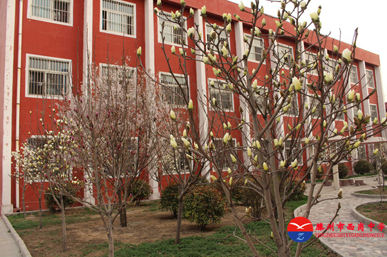 滕州市西岗中学