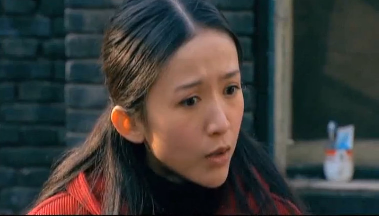 有限公司,深圳市怡美实业有限公司于2008年联合出品的家庭情感电视剧