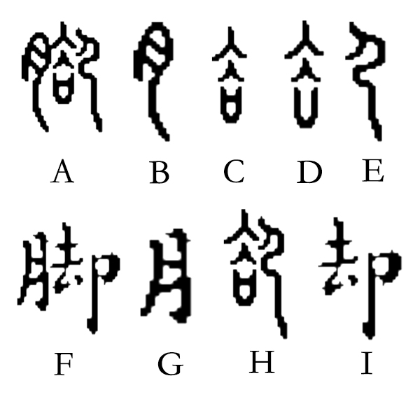 造字本义为胫,足的总称,踏步行走的器官;引申为形容