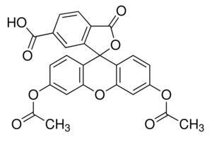 二乙酸荧光素