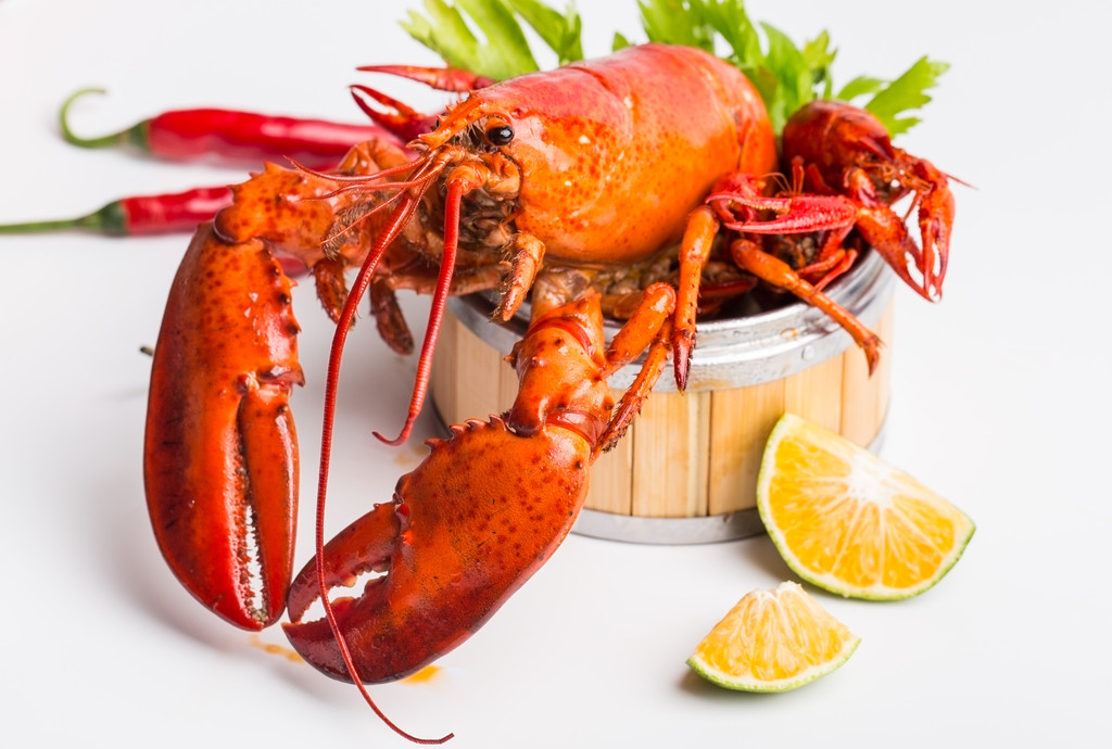  p>波士顿龙虾,属于海螯虾科 a target="_blank" href="/item/螯龙虾