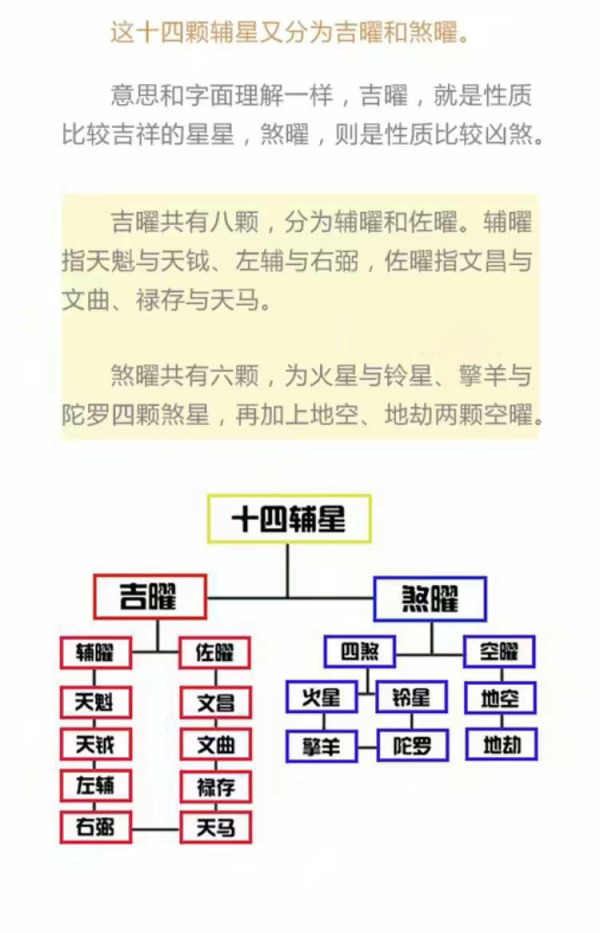 紫薇斗数推命術　紫薇発秘訳解 紫薇斗数推命術 紫薇発秘訳解 佐藤文栞 張耀文 紫微斗