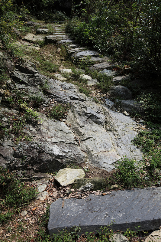 祁门大洪岭古道