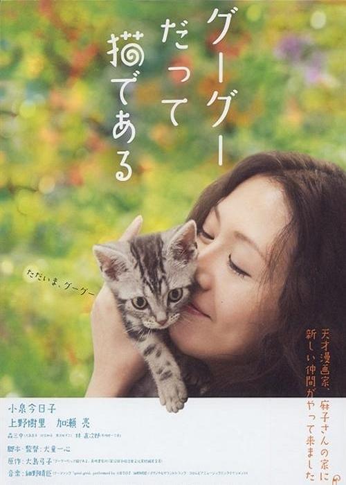 咕咕是一只猫