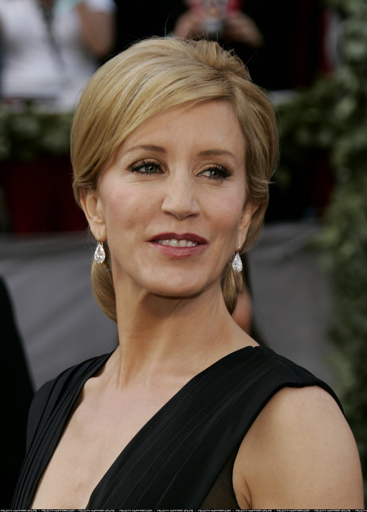  p data-id="go19875fty">菲丽西提·霍夫曼(felicity huffman),1962