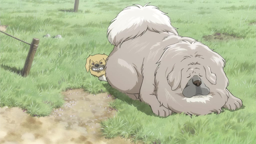  p>《藏獒多吉》是由中日首次合拍的一部动画冒险电影,由 a href="#"