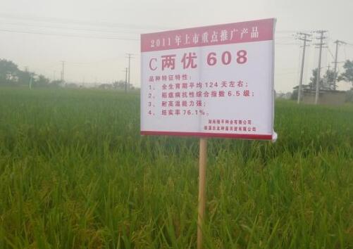  p>c两优608是 a target="_blank" href="/item/湖南隆平种业有限公司