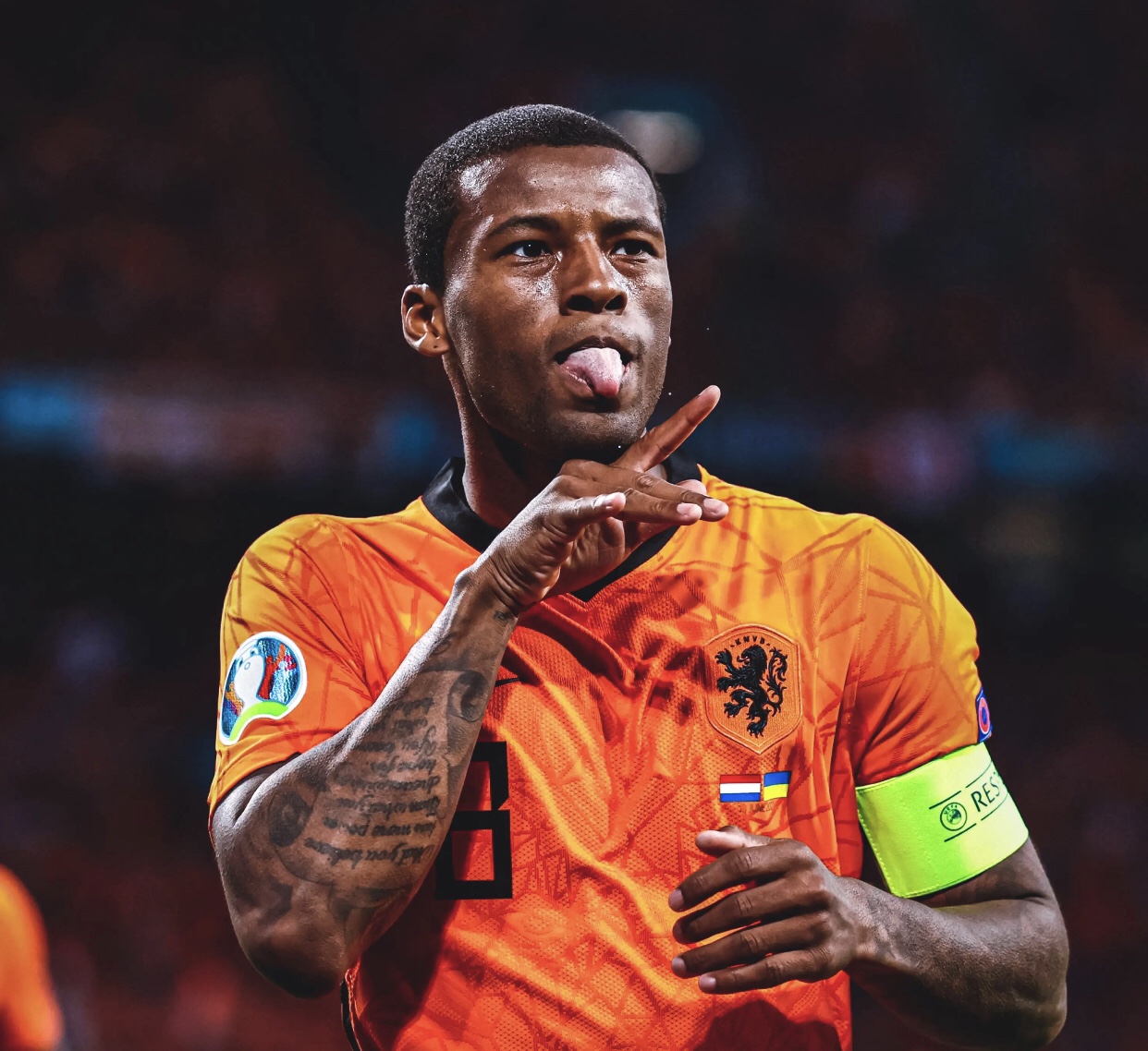 乔尔吉尼奥·乔治昂·埃米尔·维纳尔杜姆