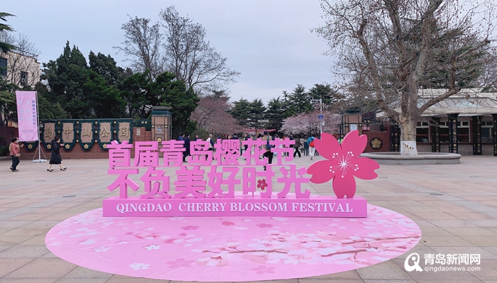 约起来！首届青岛樱花节来啦 浪漫樱花绽放中山公园_百科TA说