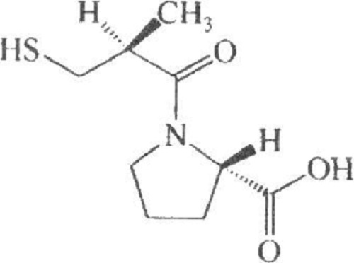 圣瑞恩卡托普利