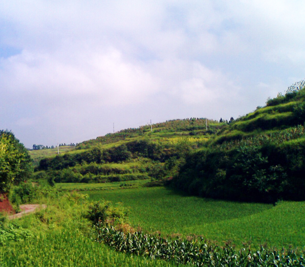  p>曹回镇,隶属于重庆市垫江县,地处 a target="_blank" href="/item