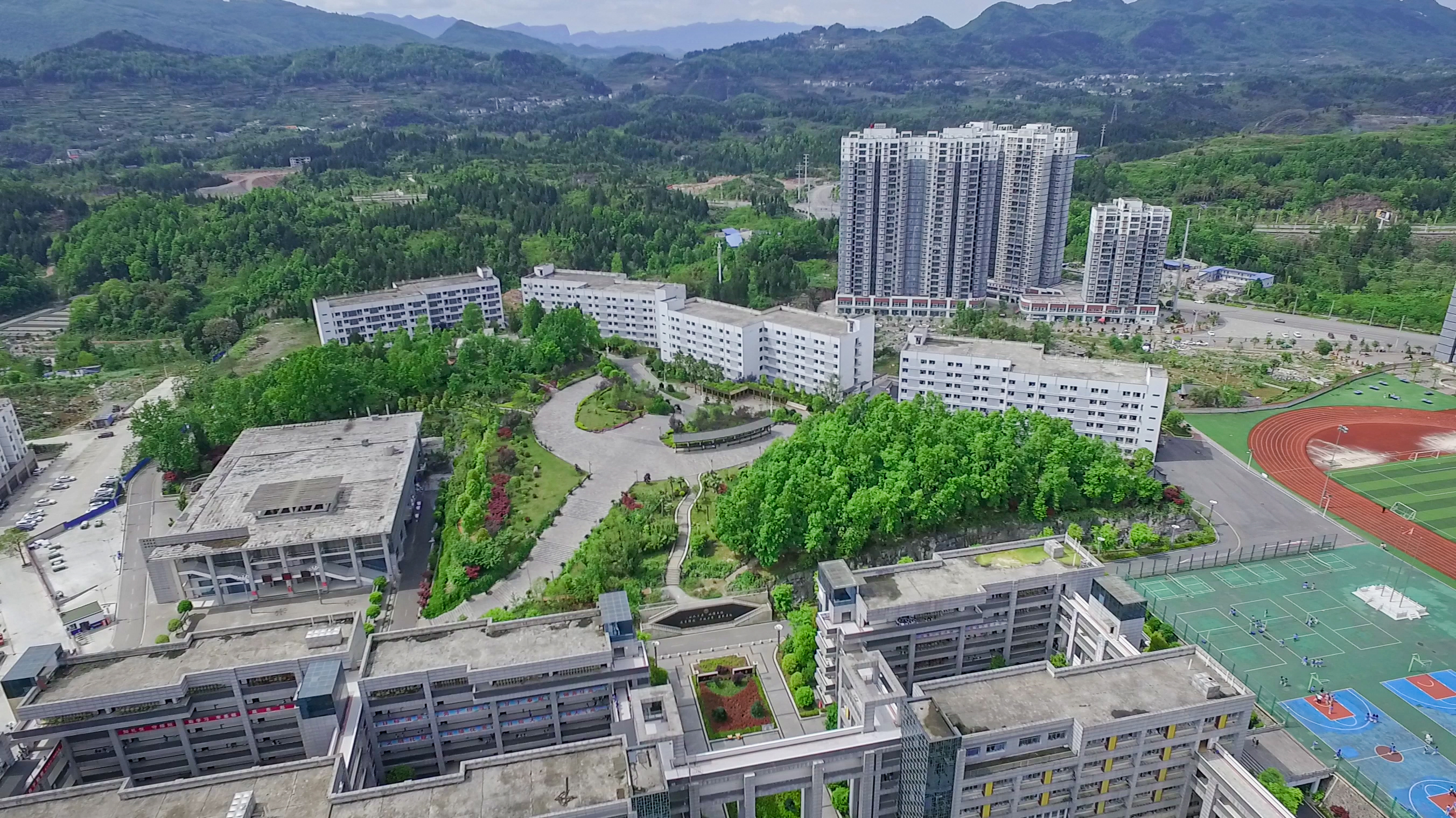 务川县网站建设(务川自治县人民政府网)