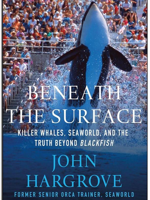 natural world - killer whales: beneath the surface