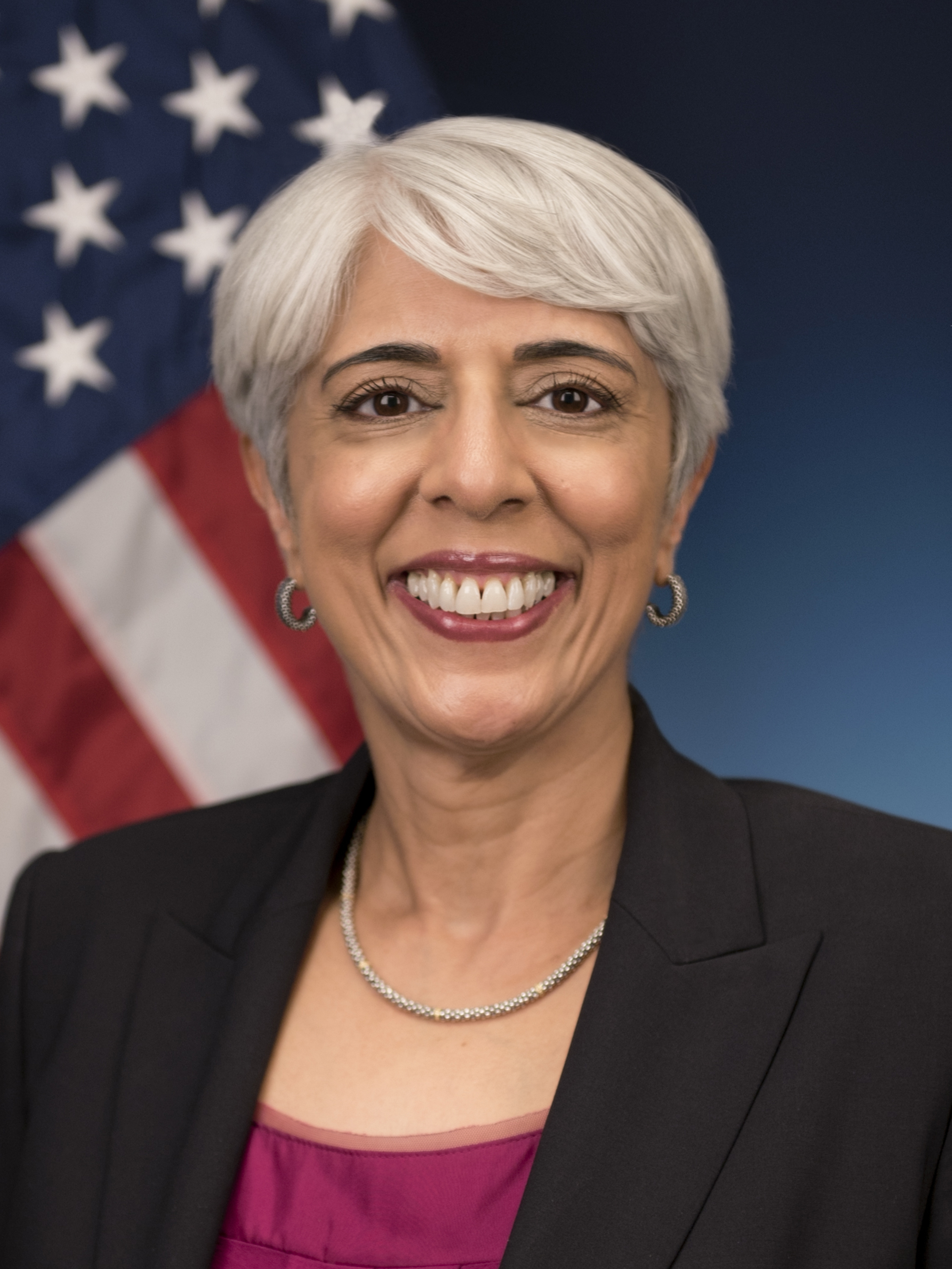 6n">阿拉蒂·普拉巴卡(arati prabhakar,1959年—),印度裔美国工程师