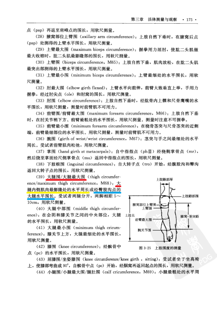 大腿围_百度百科