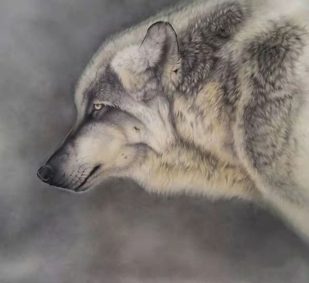  p data-id="gnbicg85tb">肖彦卿,男,一位农民画家,被称为中国"画虎第