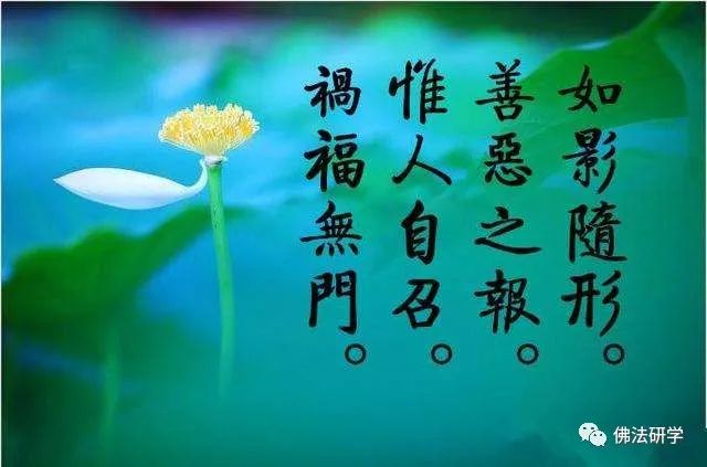 「报应」-现世报应、佛教因果报应_百科TA说