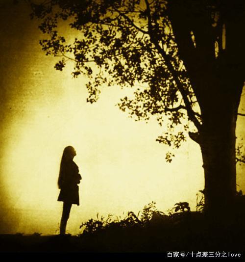 贾平凹《自在独行》：写给每个孤独的行路人_百科TA说