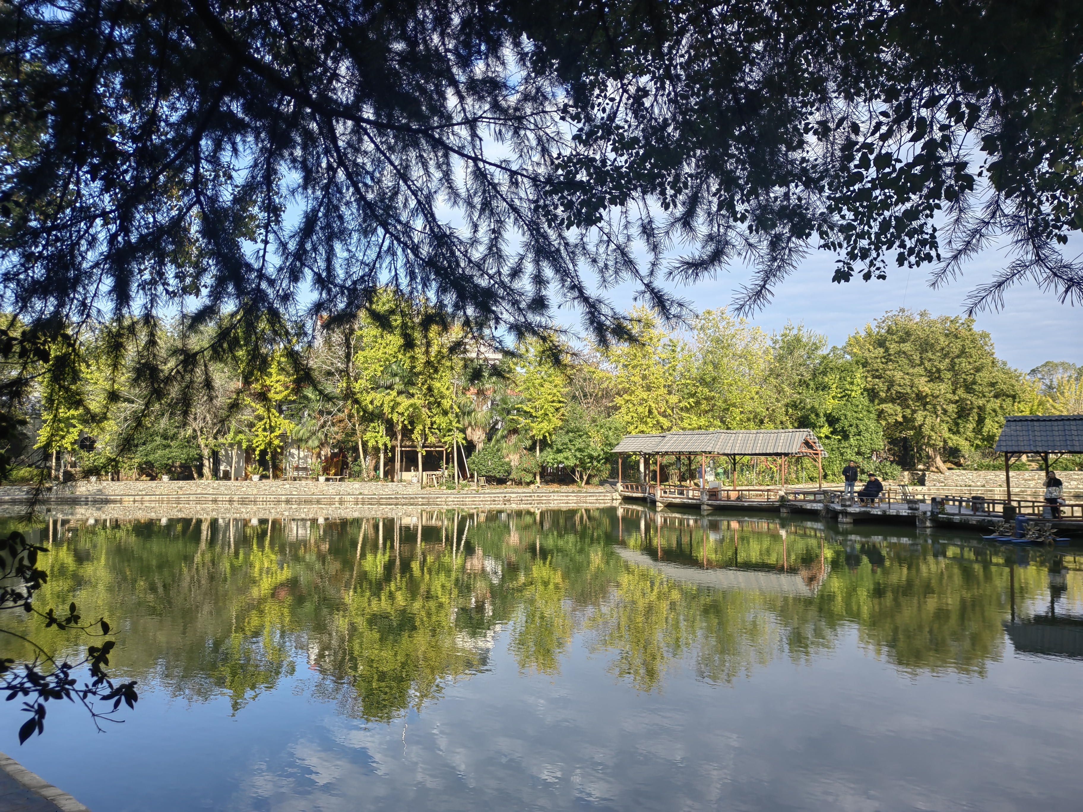 武汉市东西湖巨龙湖生态园