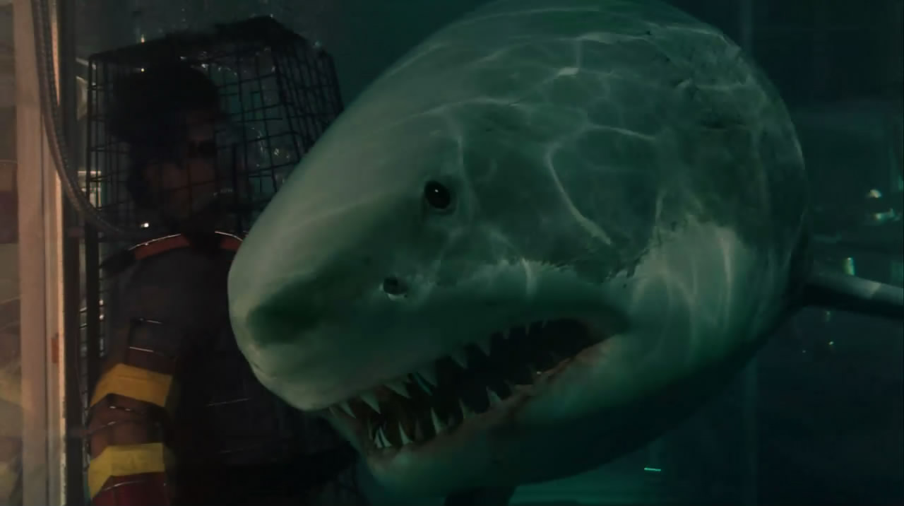  p>《大海啸之鲨口逃生》是由云南电影集团有限责任公司,北京光线影业