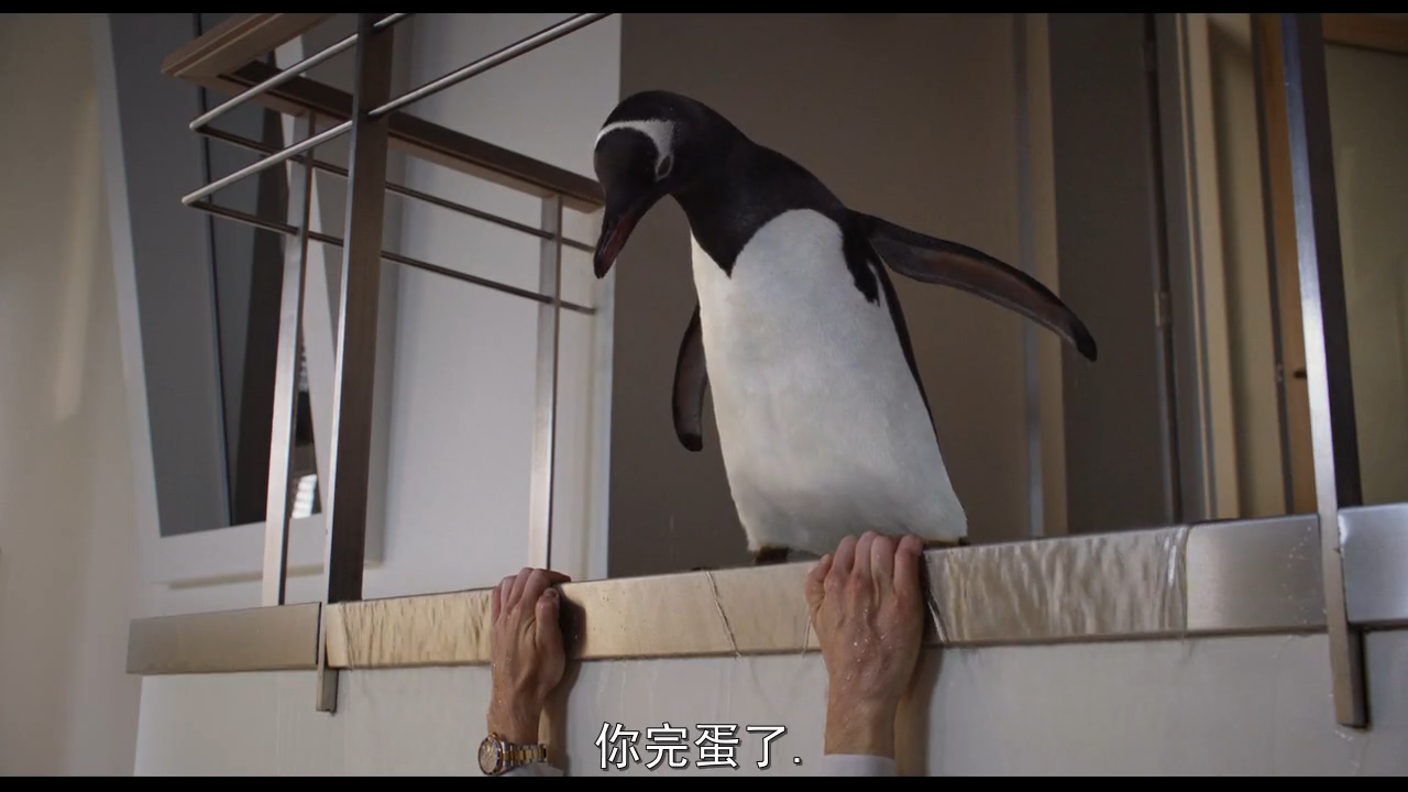 波普先生的企鹅
