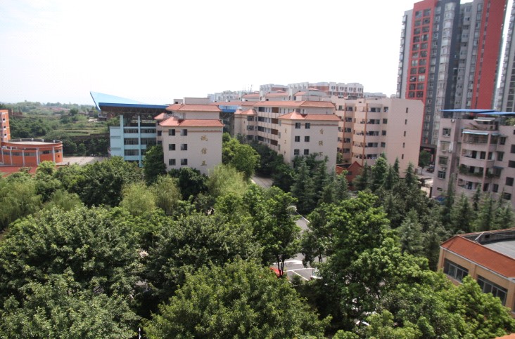  p>铜梁二中(tongliang no.