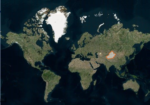 phrynocephalus  forsythii