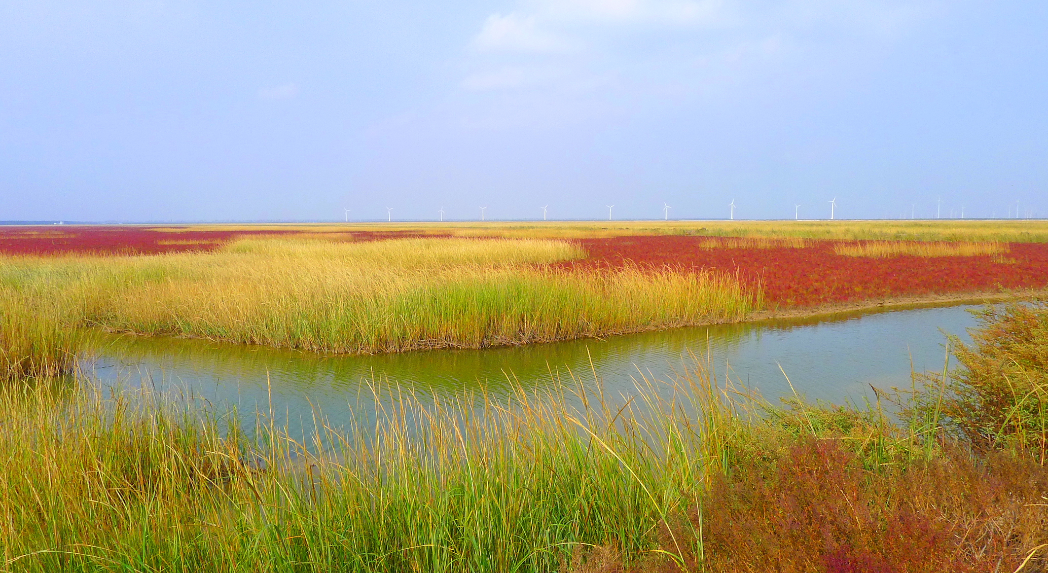 大丰国家海涂湿地公园