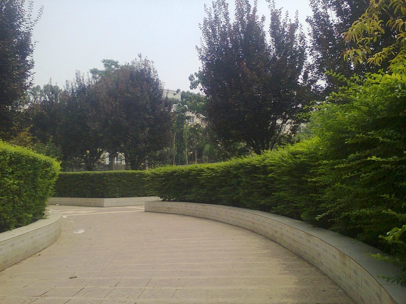 兴平市南郊高级中学