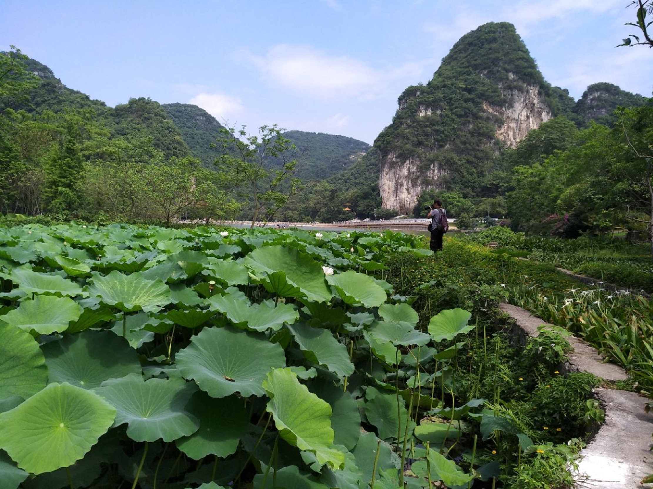 柳州大龙潭公园