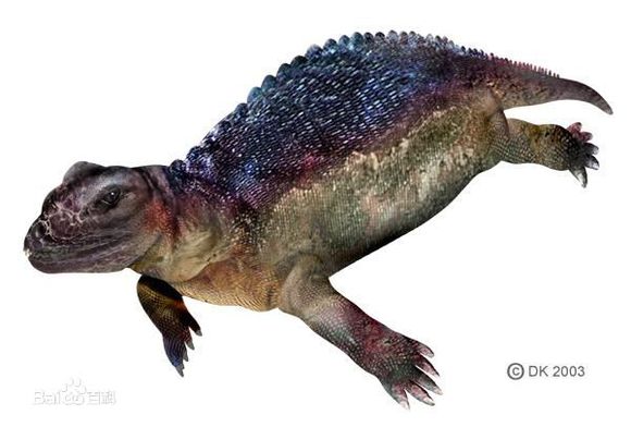  p>盾齿龙在离 a target="_blank" href="/item/欧洲/145550" data