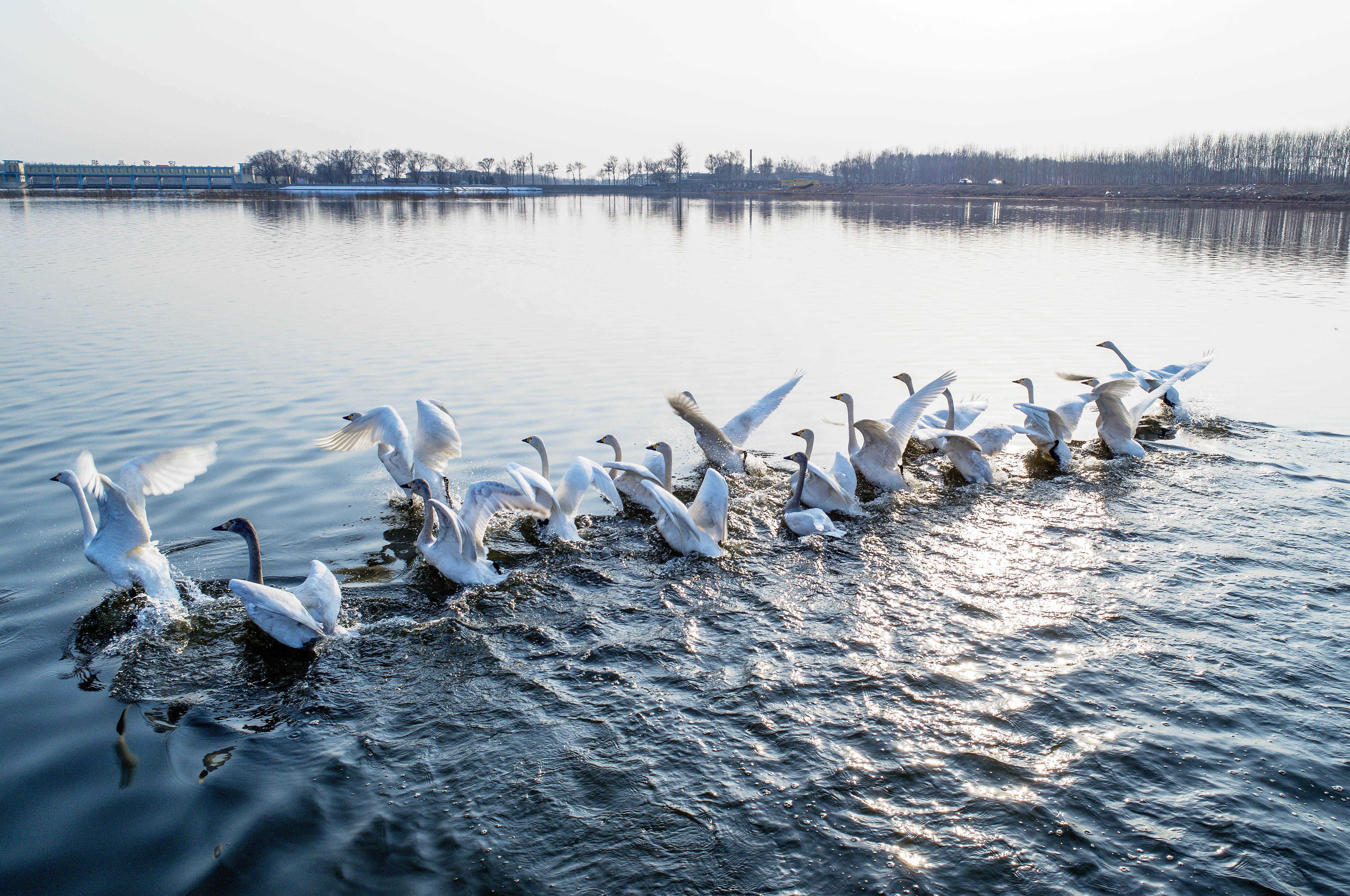  p>平遥古城生态旅游文化产业园(中国天鹭湖)项目已