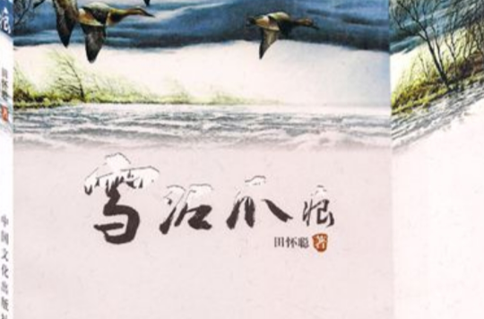  p>《雪泥爪痕》是2012年中国文化出版社出版的图书,作者是田怀聪.