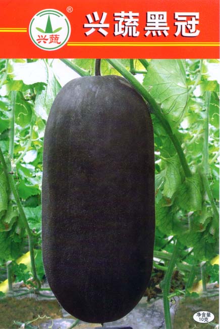 横径20厘米左右,肉厚5-6厘米左右,表皮黑色,瓜圆筒形,瓤腔小,肉质致密